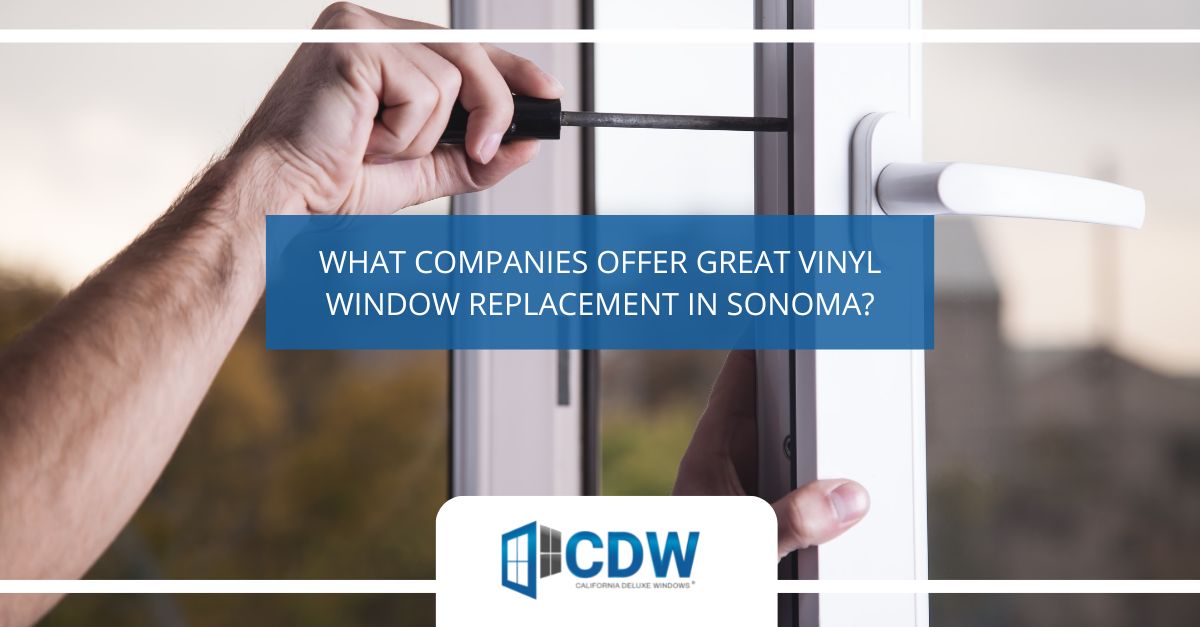 Vinyl Window Replacement in Sonoma
