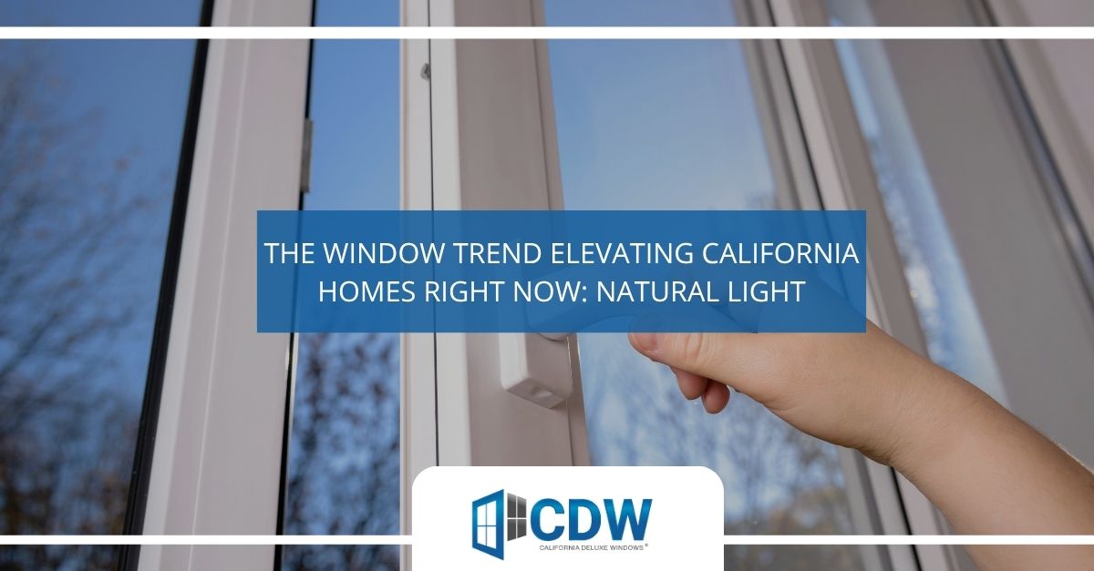 the window trend elevating california homes right now natural light